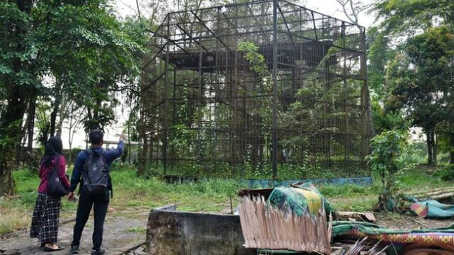 Bobby Nasution Tagih Janji Raffi Ahmad Soal Pembangunan Medan Zoo